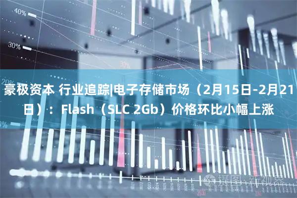 豪极资本 行业追踪|电子存储市场（2月15日-2月21日）：Flash（SLC 2Gb）价格环比小幅上涨