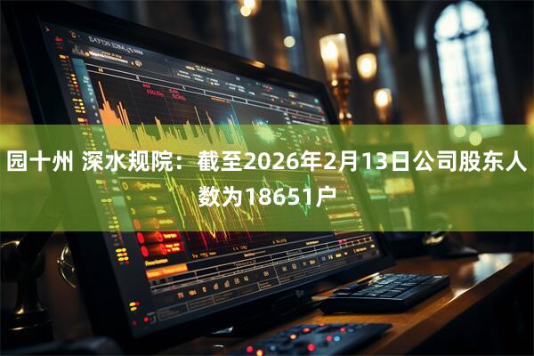 园十州 深水规院：截至2026年2月13日公司股东人数为18651户