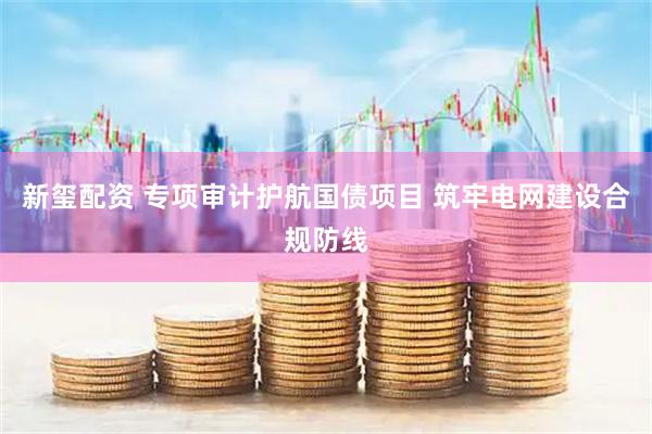 新玺配资 专项审计护航国债项目 筑牢电网建设合规防线